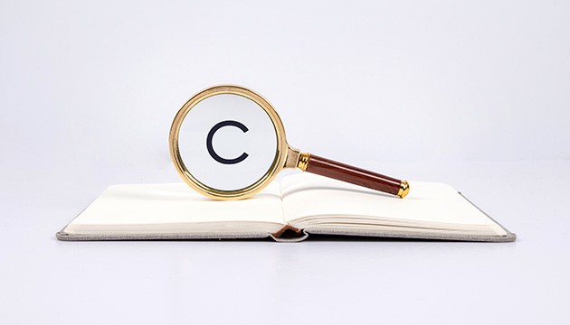 Infringement Investigation